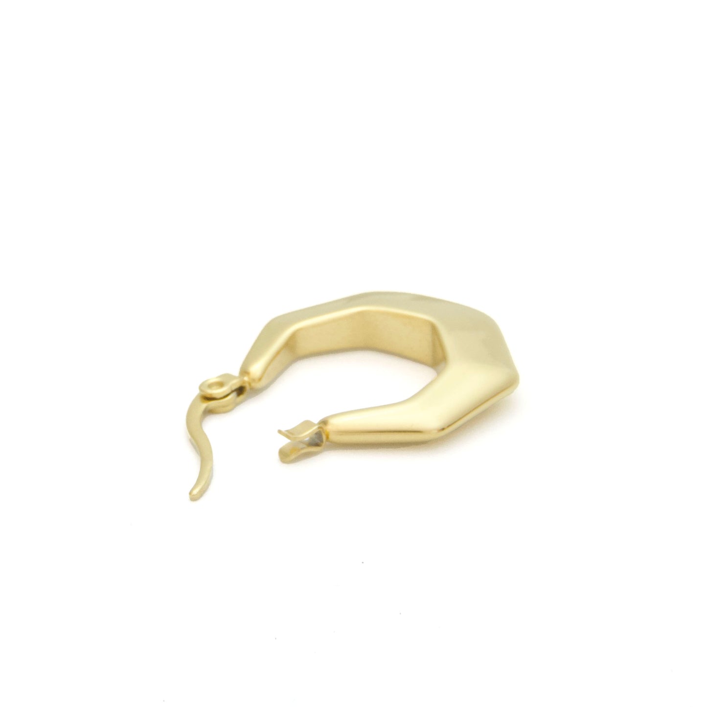 Polygonal Earrings