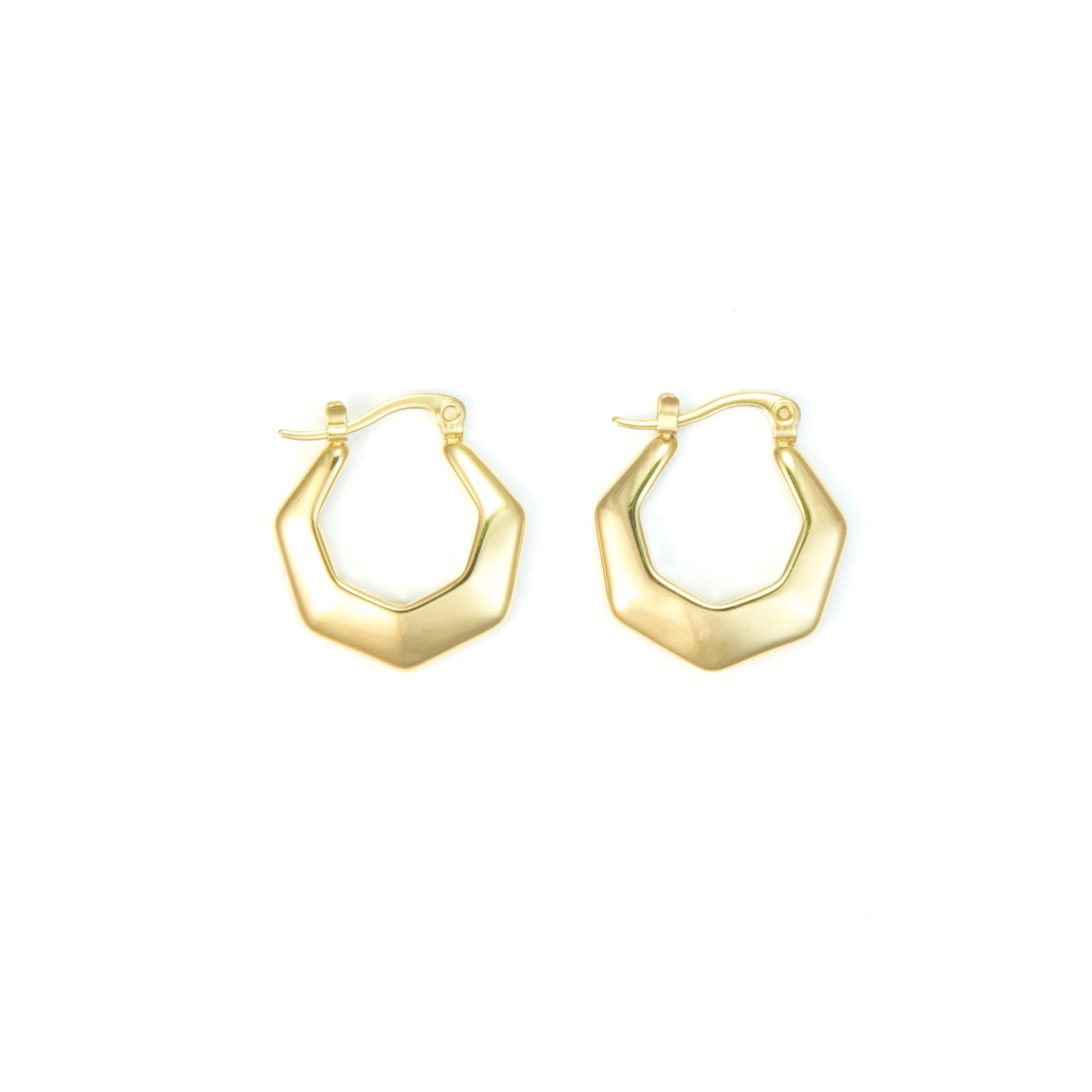 Polygonal Earrings