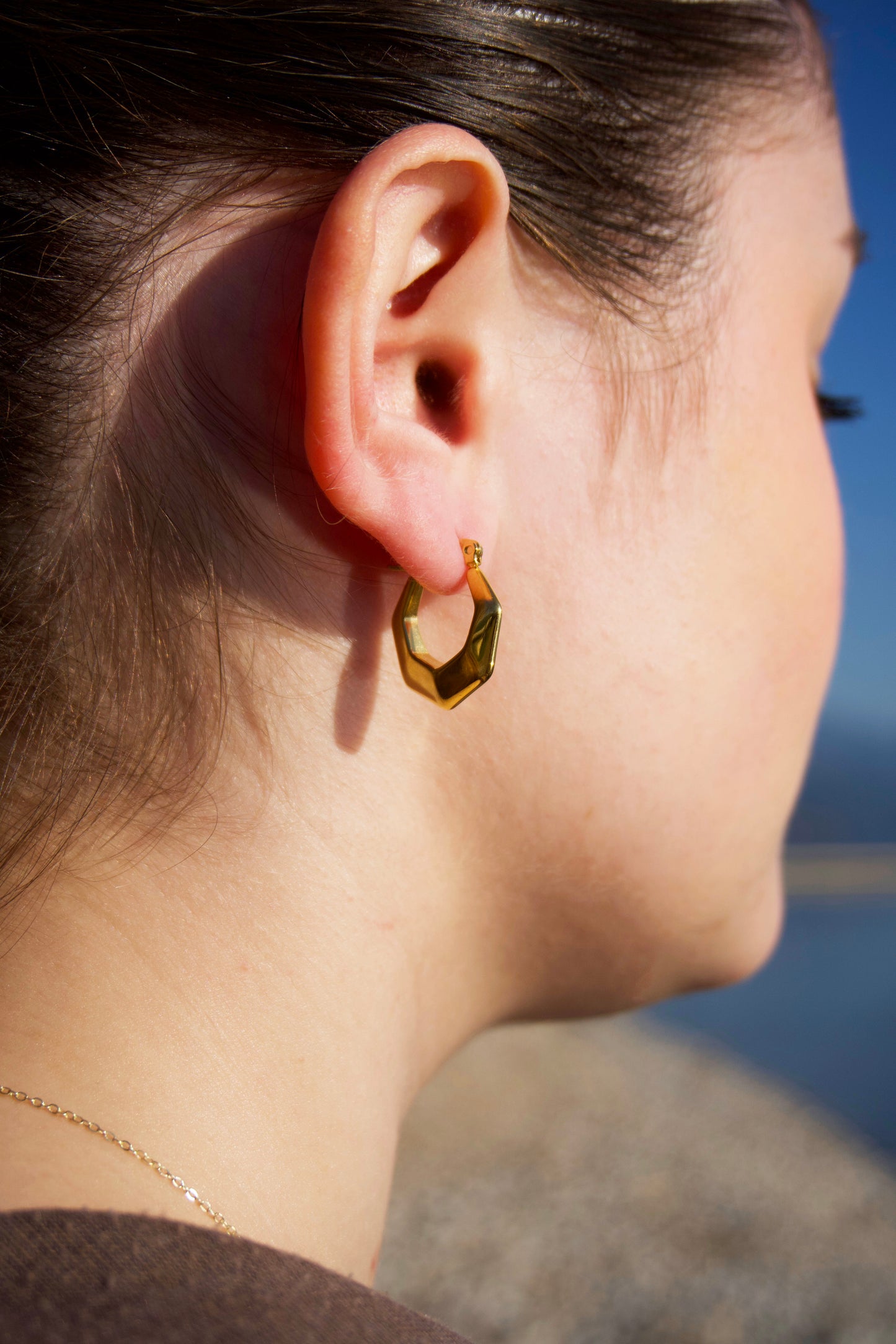Polygonal Earrings