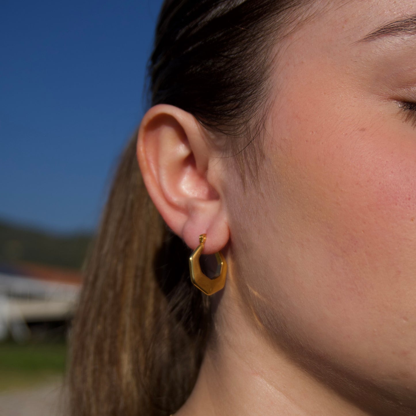 Polygonal Earrings
