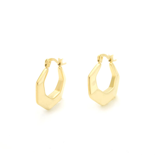 Polygonal Earrings